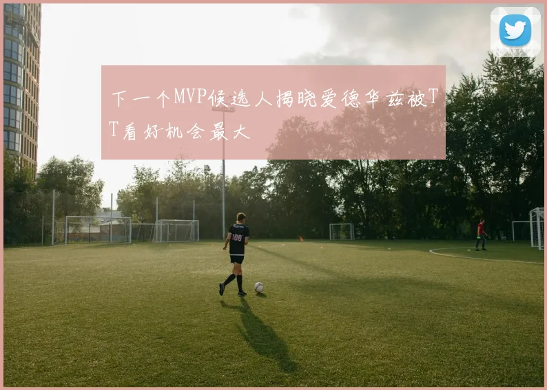 下一个MVP候选人揭晓爱德华兹被TT看好机会最大